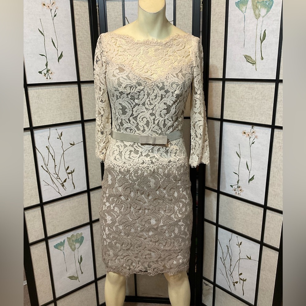 TADASHI Shoji Lace Dress Size 2
